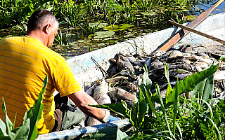 Proces ws. zatrucia jeziora Druzno bez udziału mediów Proces ws. zatrucia jeziora Druzno bez udziału mediów